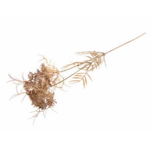 HASTE FLOR CAST 70cm 04.0012228