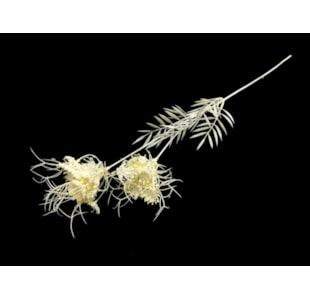 HASTE FLOR PEROLA 70cm 04.0012229