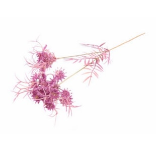 HASTE FLOR MAGENTA 70cm 04.0012230