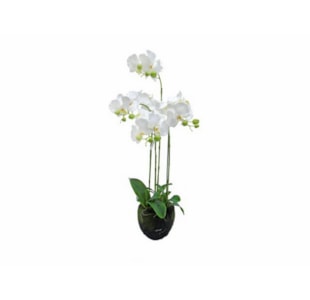 PLANTA ORQUIDEA 85cm BR 04.0011065