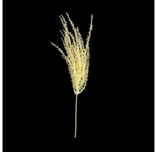 HASTE CORTADEIRA 74cm 30378