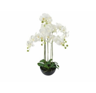 VASO ORQUIDEA 83cm BR 04 0013186