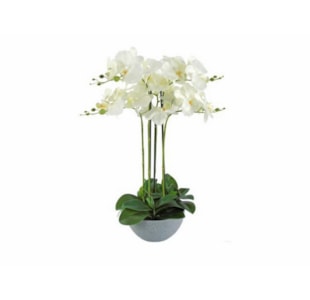 VASO ORQUIDEA 55cm BR 04 0013185