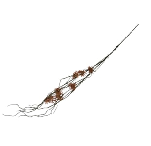 HASTE RAIZ 120cm 6246