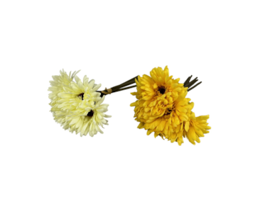 RAMO GERBERAS x 5 28cm 39009