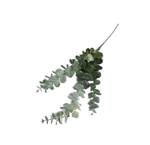 FOLHAGEM EUCALIPTO X4 78 38043