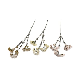 HASTE STATIC FLOC 63cm 30323