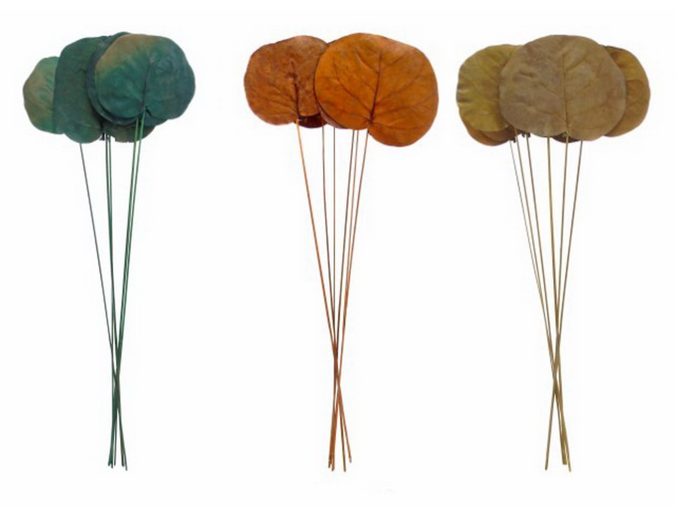 EMB FLOR SEAGRAPES SORT 04 237