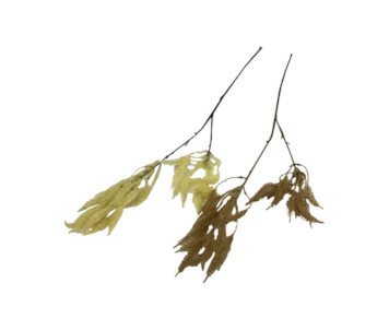HASTE FLOCADO 100cm 53096