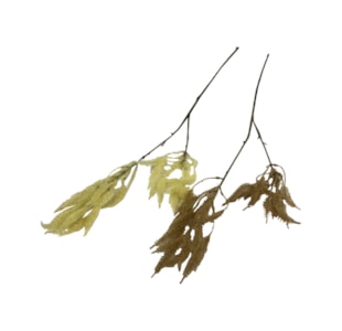 HASTE FLOCADO 100cm 53096