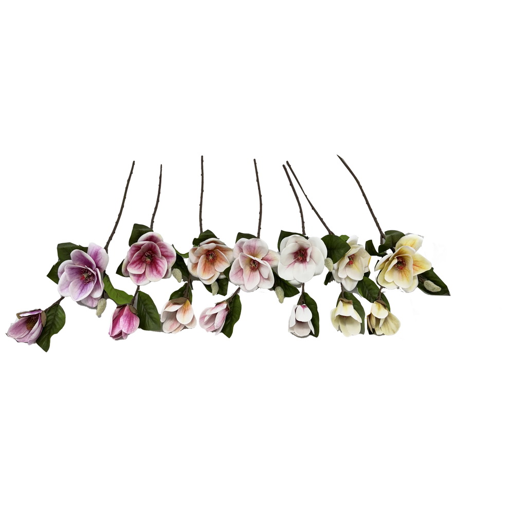 HASTE MAGNOLIA 65cm 30347