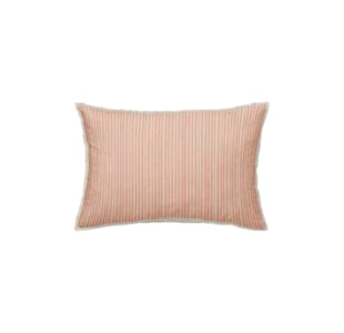 ALMOFADA GALI RAYA 30x50 C561 SAL
