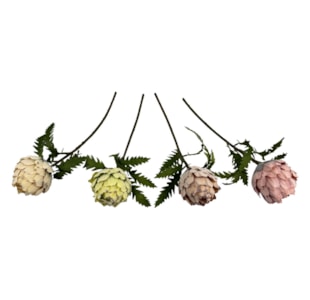 HASTE PROTEA 48cm 53101