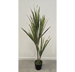 PLANTA YUCCA R 110cm 40060