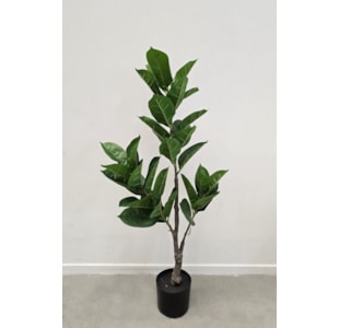 PLANTA RUBBER 100cm 40176