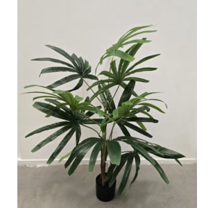 PALMEIRA 100cm 40279