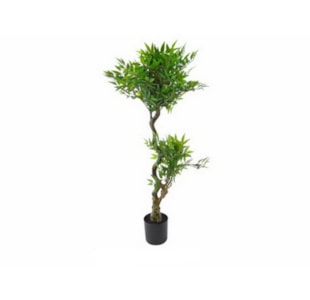 PLANTA FICUS 145cm  04 0005343