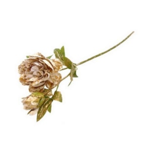 HASTE PEONIA BG/DOUR 66cm 04 0014309