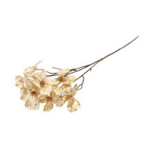 HASTE FLOR BG/DOUR 74cm 04 0014343
