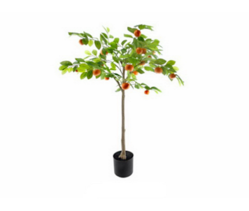 PLANTA TANGERINEIRA 120cm  04 0013205