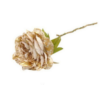 HASTE PEONIA BG/DOUR 46cm 04 0014330