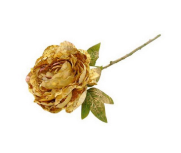 HASTE PEONIA CR/DOUR 46cm 04 0014331