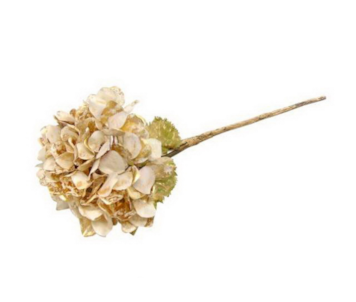 HASTE HORTENSIA BG/DOUR 53cm 04 0014334