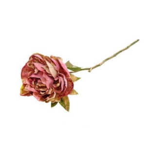 HASTE PEONIA RS/DOU 46cm 04 0014332