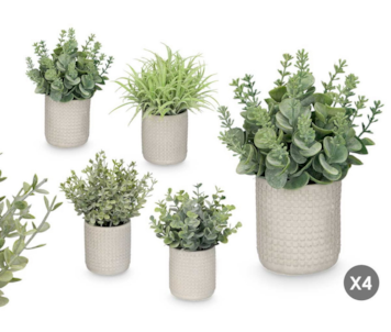 VASO C/PLANTAS 4 S 7,5x20 10911