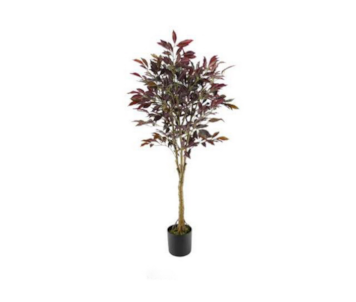 PLANTA ART CRENATA 150cm 04 0014395