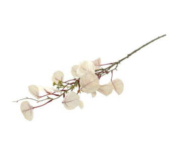 HASTE EUCALIPO OUT BR 72cm 10 0008355