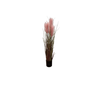 PLANTA PAMPAS ROSA 90cm 30246