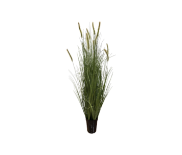 PLANTA PAMPAS GRASS VRD 110cm 30414