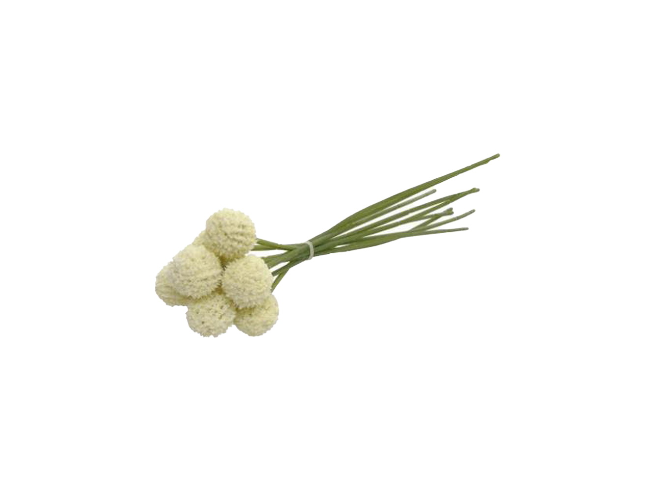 RAMO FLORES BILLY CREME 28cm 04 0014443