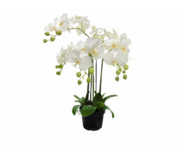VASO ORQUIDEA BR 65cm 04 0013441