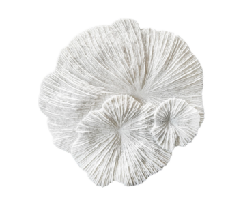 DEC RES FORM CORAL BR 59x58x5 39937
