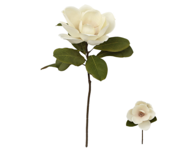 HASTE MAGNOLIA PER 70cm 27104