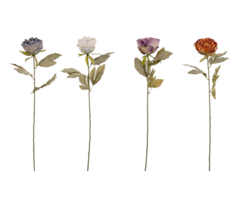 HASTE PEONIA 70cm 64019