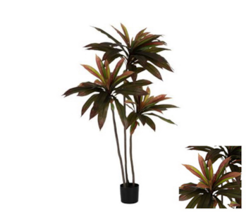 PLANTA DRACAENA  VERM 165cm 612206