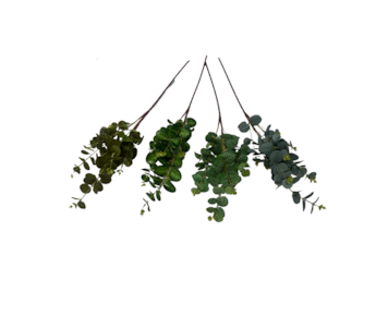 HASTE FOLHAGEM EUCALIPTO 88cm 37106