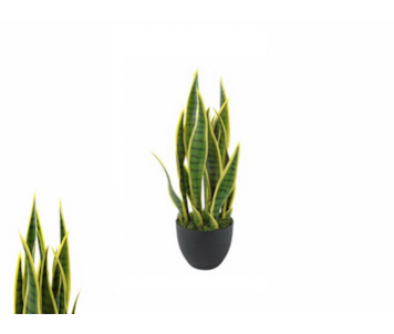 PLANTA ART SANSEWIERIA 70cm 04 0011123