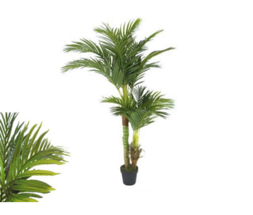 PLANTA ART HAWAI PALM 145cm 04 0014377