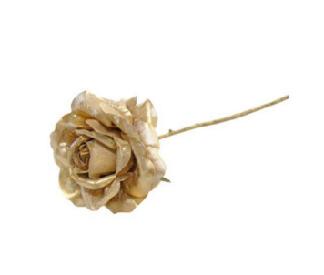 HASTE ROSA DOUR 34cm 04 0014261