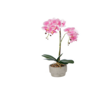 VASO ORQUIDEA ROSA 52cm 59627