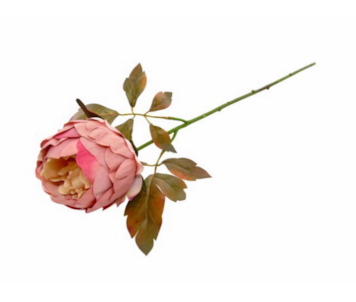 HASTE PEONIA ROSA 46cm 04.0012824