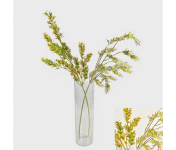 HASTE PODOCARPUS 80cm 38116