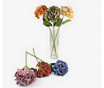 HASTE HORTENSIA 67cm 30270
