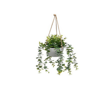 VASO C/PLANTA PEND VERDE 22x45 808092