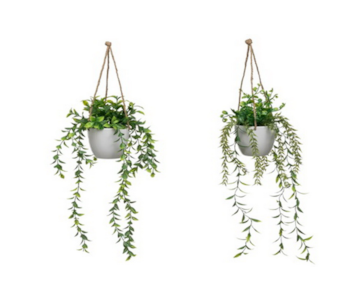 VASO C/PLANTA PEND VERDE 22x60 808091