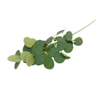 FOLHAGEM EUCALIPTO VRD 61cm 04 0013863